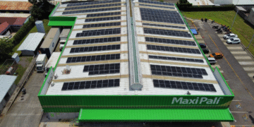 Walmart impulsa acciones por un mundo más verde y amigable con el planeta