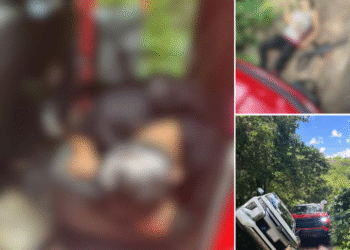 Reportan que la Fuerza Pakal logra abatir a 2 agresores armados y les asegura arsenal