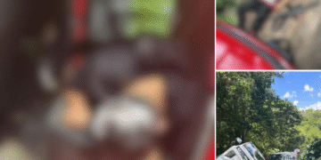 Reportan que la Fuerza Pakal logra abatir a 2 agresores armados y les asegura arsenal