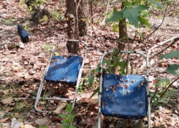 Descubierto presunto crematorio y campo de entrenamiento en Cerro de Cuauhtépetl en Jalisco