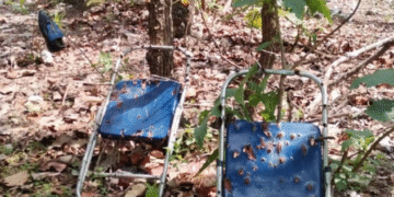 Descubierto presunto crematorio y campo de entrenamiento en Cerro de Cuauhtépetl en Jalisco