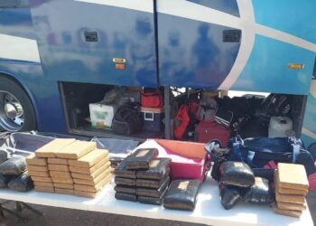 Fue detenido chófer de autobús y 44 pasajeros de camión de línea por transportar droga
