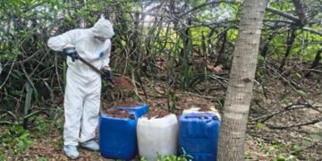 Culiacán: Fueron desmantelados centros de droga dando millonario golpe al narco