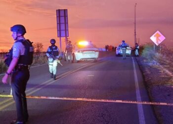 Fueron descubiertos restos mutilados en una carretera estatal de Navolato, Sinaloa