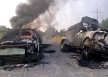 12 sicarios abatidos por Fuerza Civil en brutal enfrentamiento en Nuevo León