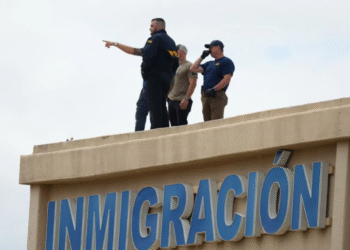 Agentes del orden revisan el techo de un edificio de apartamentos cerca donde hubo un tiroteo contra una oficina del ICE.
