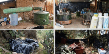 Descubierto cuarto narcolaboratorio entre Valle de Tulancingo y la Sierra de Tenango en Hidalgo