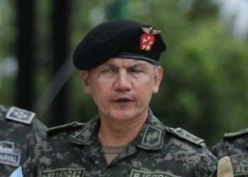 Jefe de las Fuerzas Armadas, general Roosevelt Hernández.