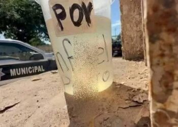 Autoridades descubren miembro de un hombre en un vaso en Culiacán
