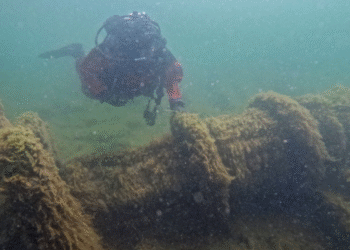 Descubre por accidente un barco perdido hace 138 años