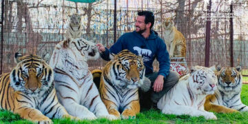 “Tragedia”: Tigre ataca y mata a un domador