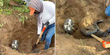 61 bolsas con restos humanos descubiertas en un “cementerio clandestino” en México