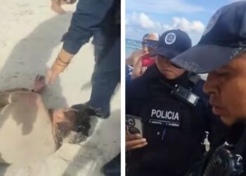 Denuncian brutalidad policial en Playa del Carmen; pescador ha muerto tras detención (Video)