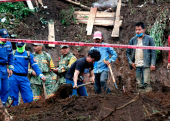 Sube a 66 los muertos y a 75 los desaparecidos por lluvias en cinco estados