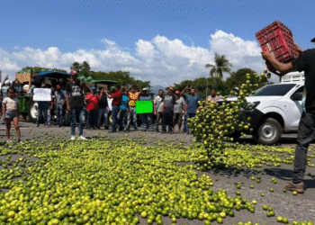 La Sedena sabía desde 2021 quienes extorsionan a los limoneros y sus lazos con el gobierno de Michoacán