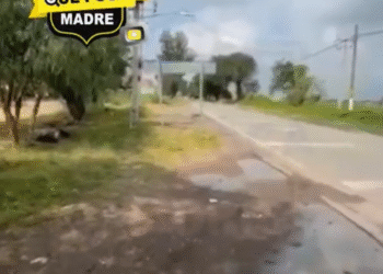 (VIDEO) Hombre atacado a tiros mientras transmitía en vivo desde la comunidad de Urireo en Guanajuato