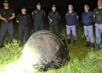 Misterioso objeto peludo cae en medio de una granja en Argentina
