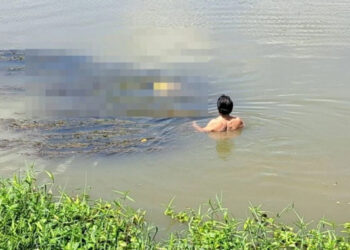 La misteriosa muerte de una millonaria cuyo cuerpo fue encontrado en un canal