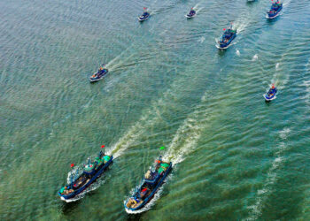 Pescadores chilenos en alerta por “flotas” chinas que “arrasan” el ecosistema marítimo