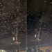 A lo Hitchcock: graban inquietante escena con miles de pájaros durante un sismo (VIDEO)