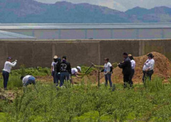 Decenas de bolsas con restos humanos encontrados en fosa clandestina en México