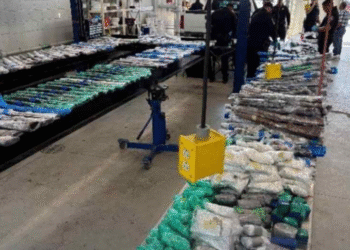 EEUU le incautó 500 armas y 31 mil cartuchos que iban a México en tráfico ilegal