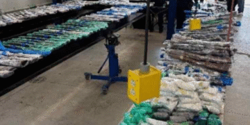 EEUU le incautó 500 armas y 31 mil cartuchos que iban a México en tráfico ilegal