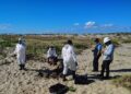 Fueron detenidos integrantes de empresa contratada por SpaceX en Playa Bagdad por este motivo