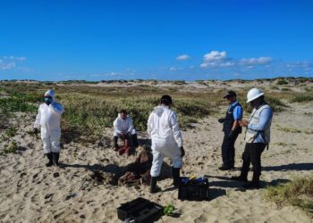 Fueron detenidos integrantes de empresa contratada por SpaceX en Playa Bagdad por este motivo