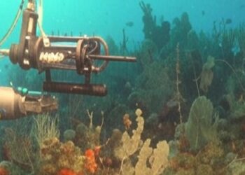 Buceando en lo profundo: la aventura del ROV SuBastian en el Cañón Mar del Plata. Créditos: Crónica.