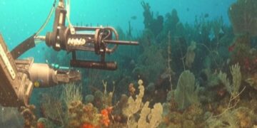 Buceando en lo profundo: la aventura del ROV SuBastian en el Cañón Mar del Plata. Créditos: Crónica.