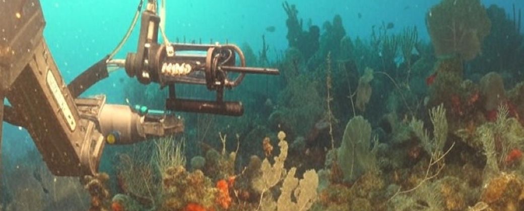 Buceando en lo profundo: la aventura del ROV SuBastian en el Cañón Mar del Plata. Créditos: Crónica.
