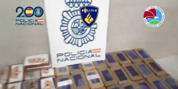 ¿Qué se sabe de la alianza entre la mafia italiana y el CJNG en Europa?