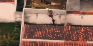 VIDEO FUERTE Perro guardián frustra fuga de delincuente y casi le arranca una pierna