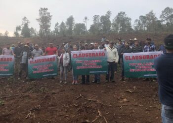 Narcos sentencian a muerte a grupo de ambientalistas de Michoacán