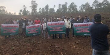 Narcos sentencian a muerte a grupo de ambientalistas de Michoacán