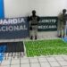 Mesa Estatal de Seguridad logra incautar 23.6 millones de dosis de droga en Sonora