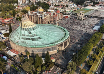 Aplicarán vacunas contra el sarampión a peregrinos que lleguen a Basílica de Guadalupe