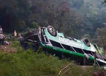 8 fallecidos tras accidentarse autobús de la línea Conexión al norte de Veracruz
