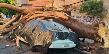 Los videos que deja el sismo de hoy 2 de enero en CDMX