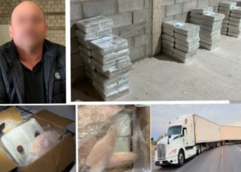 Imágenes del decomiso, compartidas por la FGR. Crédito: FGR