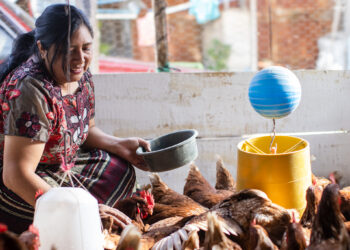 Cargill es reconocida por Fortune 2025 en su lista “Change the World” por impulsar la bioeconomía circular