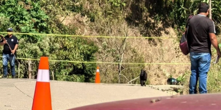 Herido un mando policial y otro agente muerto tras ataque armado en Pluma Hidalgo, Oaxaca