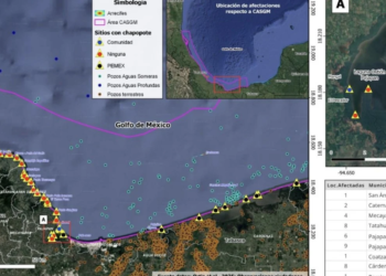 Denuncian que derrame de petróleo sobre costas de Veracruz y Tabasco sin ser atentido