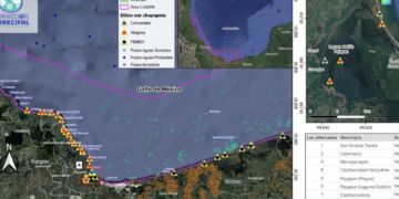 Denuncian que derrame de petróleo sobre costas de Veracruz y Tabasco sin ser atentido