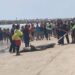 Playa Miramar estará libre de cocodrilos en Semana Santa, confirman autoridades