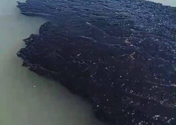 Golfo de México: El derrame que “no existe” llega a 630 km de litoral, fauna muerta y silencio oficial