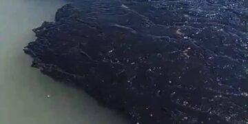 Golfo de México: El derrame que “no existe” llega a 630 km de litoral, fauna muerta y silencio oficial