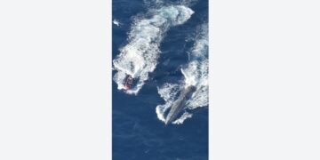 EE.UU. muestra cómo la Guardia Costera interceptó un semisumergible en el Pacífico