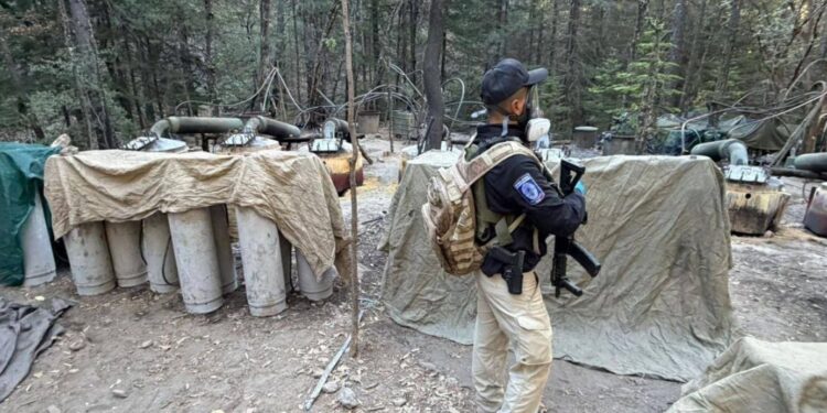 Mueren dos diplomáticos estadounidenses y dos funcionarios de Chihuahua en accidente automovilístico en la Sierra Tarahumara